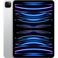 Планшет Apple iPad Pro 11" Wi-Fi 256Gb Silver